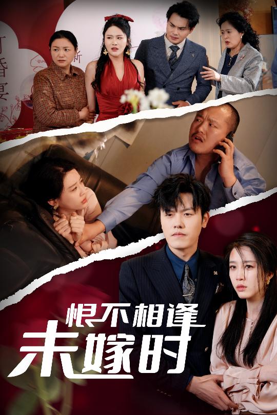 恨不相逢未嫁时(全集)